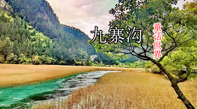 【動車團】＜峨眉山+樂山大佛+九寨溝+黃龍全景動車純玩4日游＞雙動貫穿四川4大世界遺產，旅游團行程更輕松